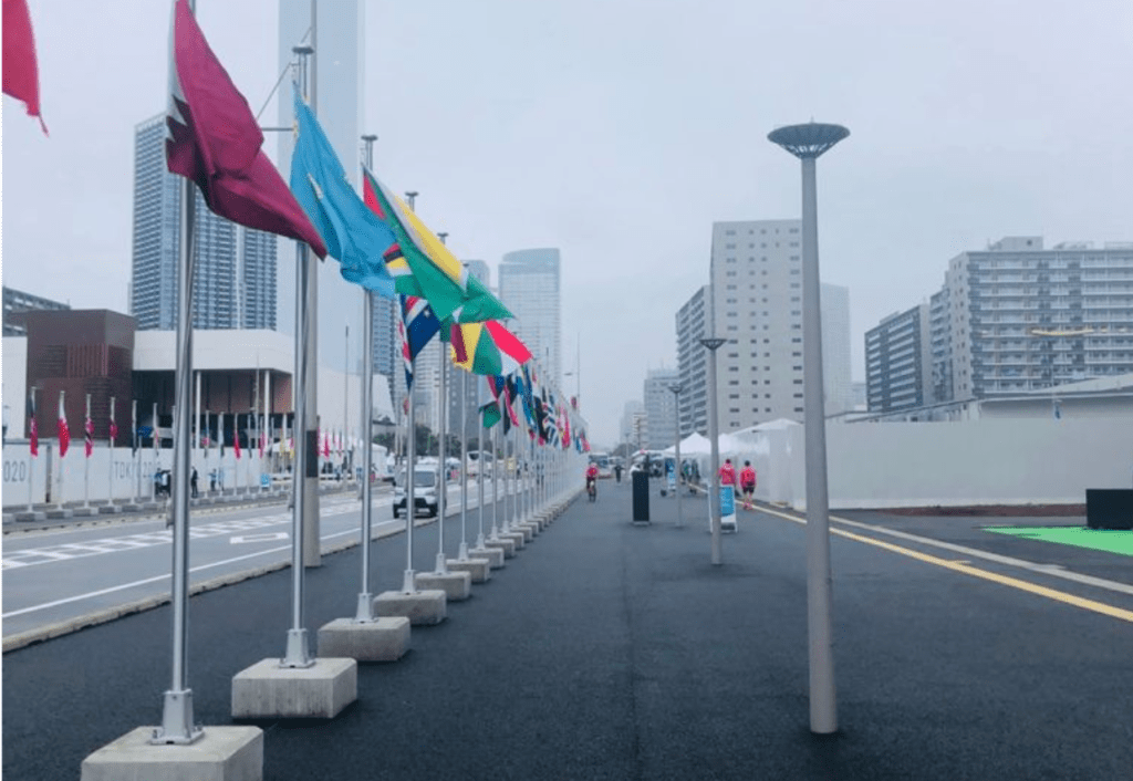 Tokyo Paralympic Games