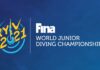 Анонс юношеского Чемпионата Мира по прыжкам в воду 2021 FINA World Junior Diving Championships 2021